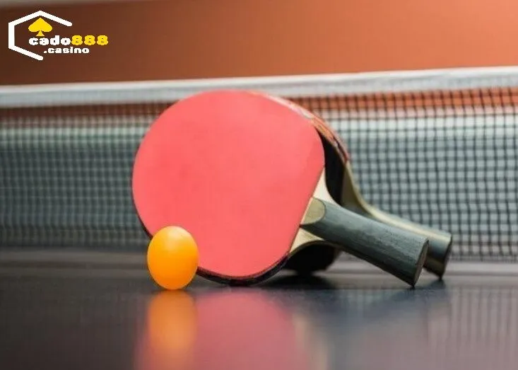 Hướng dẫn Cược Bóng Bàn Cado88  trăm trận trăm thắng dành cho newbie