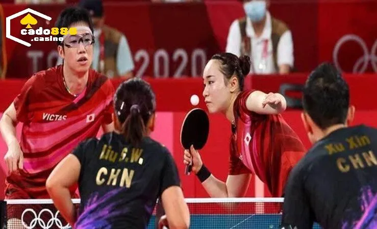 Cá Cược Bóng Bàn Cado888  vốn không còn xa lạ với những người đam mê sự năng động