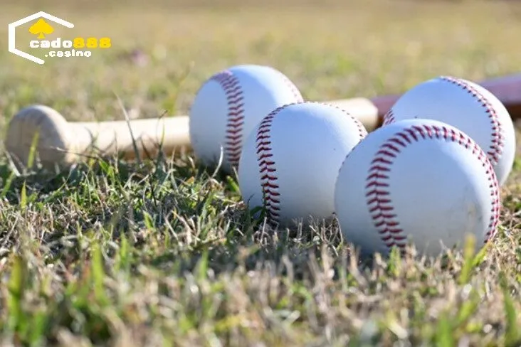 Luật cá Cược Bóng Chày Cado888 tại nhà cái Cado888 chi tiết nhất