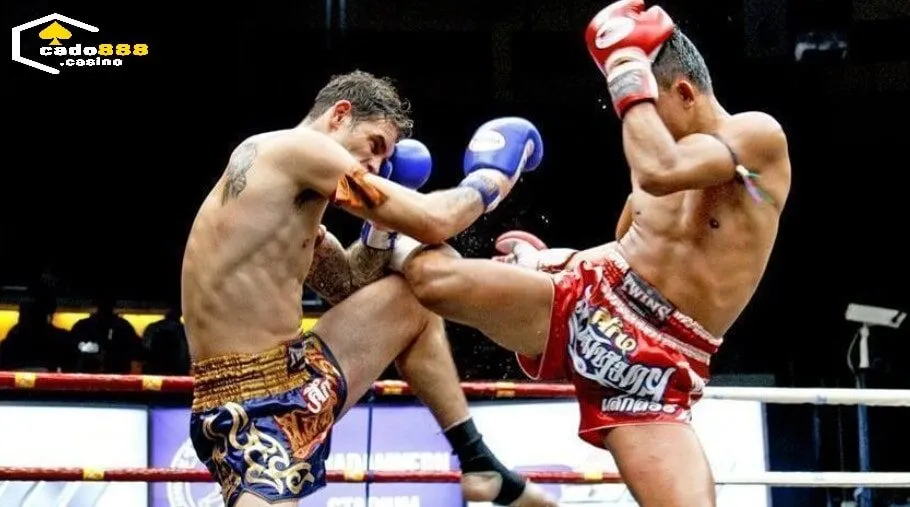 Mẹo Cược Quyền Anh Cado888 luôn thắng