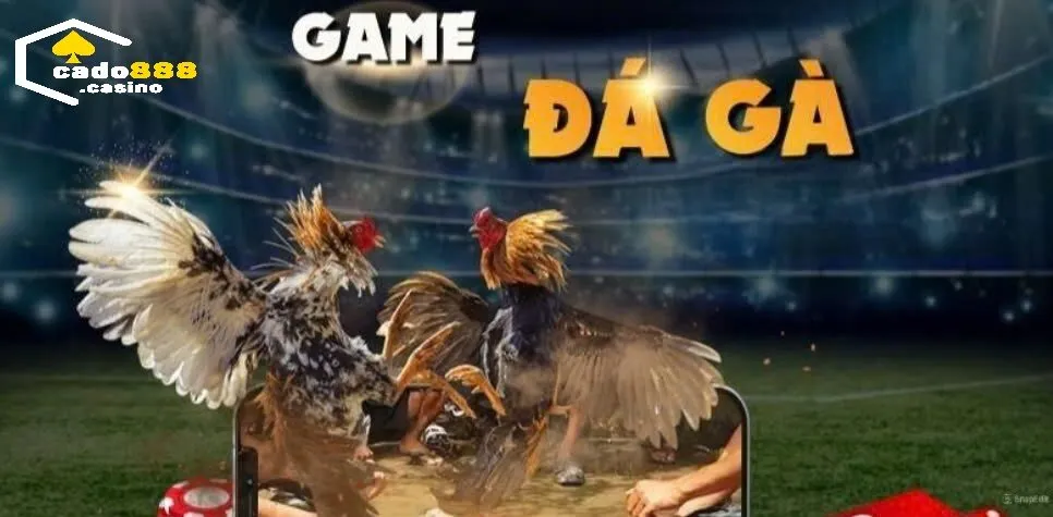 Đá Gà Ăn Tiền Cado888 hấp dẫn