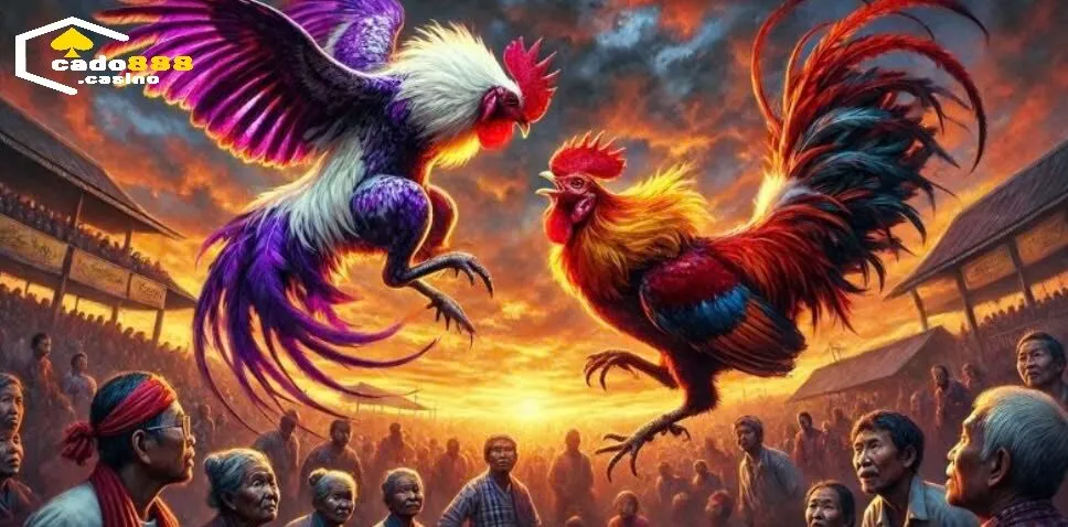 Đặc điểm cơ bản của sản phẩm Đá Gà Ăn Tiền Cado888