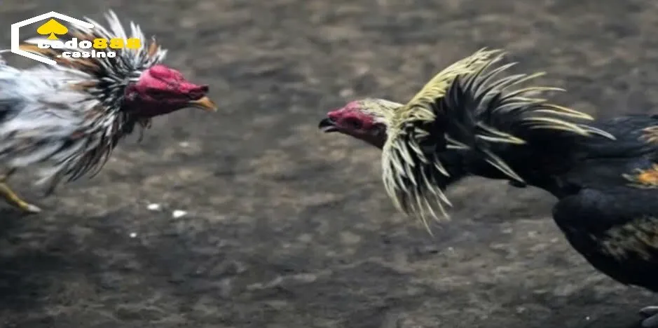 Nguồn gốc và lịch sử