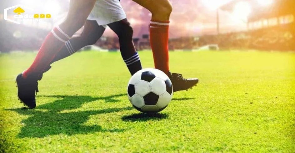 Lưu ý khí chơi kèo chấ 1 trái tại Cado888