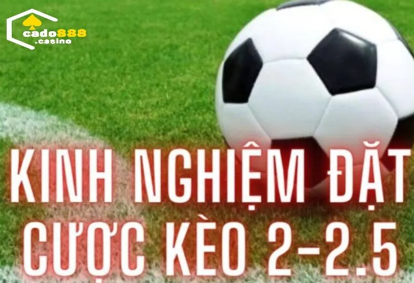Kinh nghiệm chơi kèo 2 1/4 Cado888