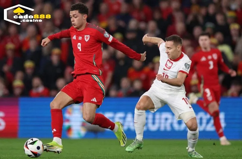 Thiét lập kế hoạch khi chơi Kèo Ném Biên Cado888