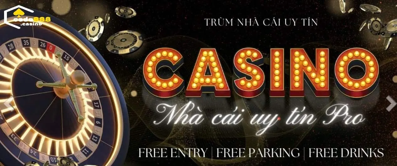 Hành Trình Xây Dựng và Phát Triển Web Cado888